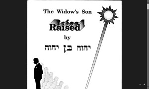 The Widow's Son Raised