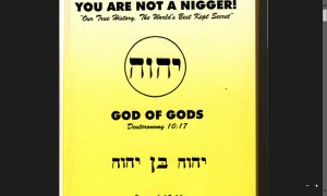 You Are Not a Nigger - Our True History, The World's Best Kept Secret